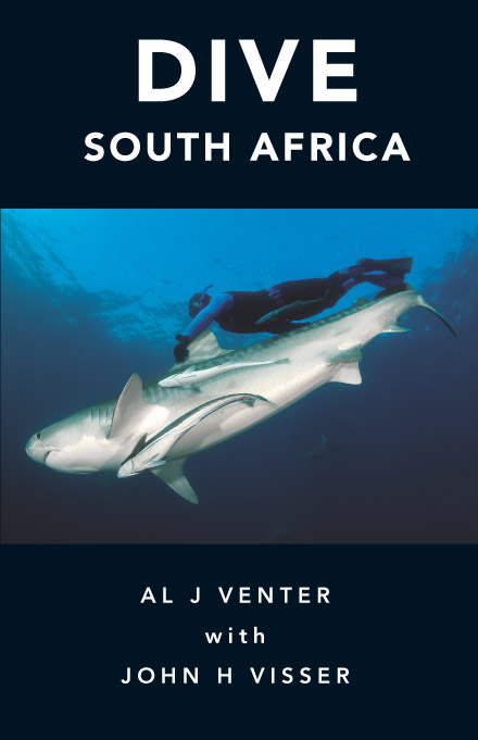 DIVE SOUTH AFRICA by al venter